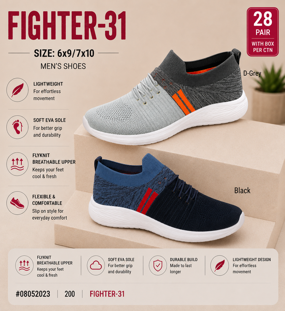 Fighter-31