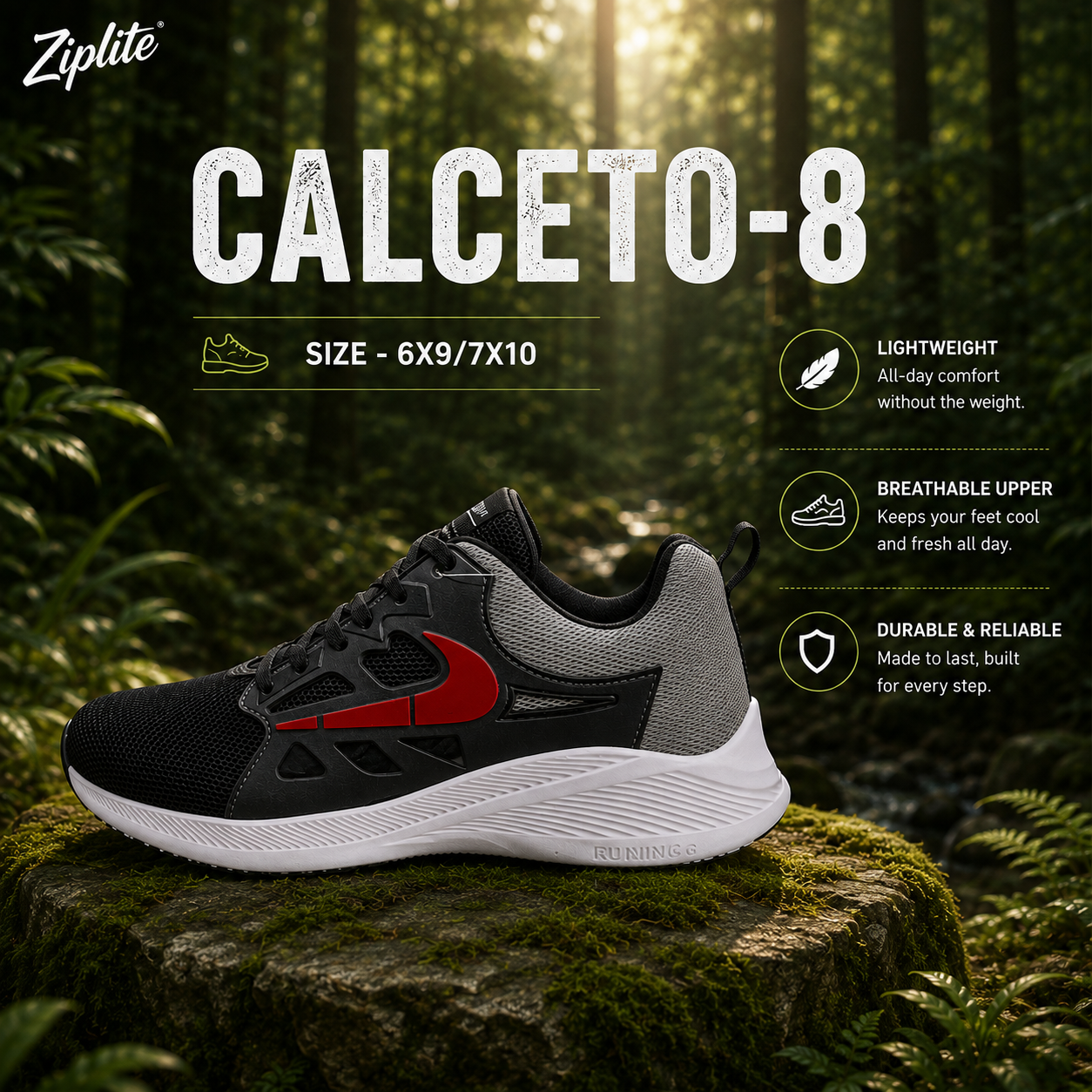 Calceto-8